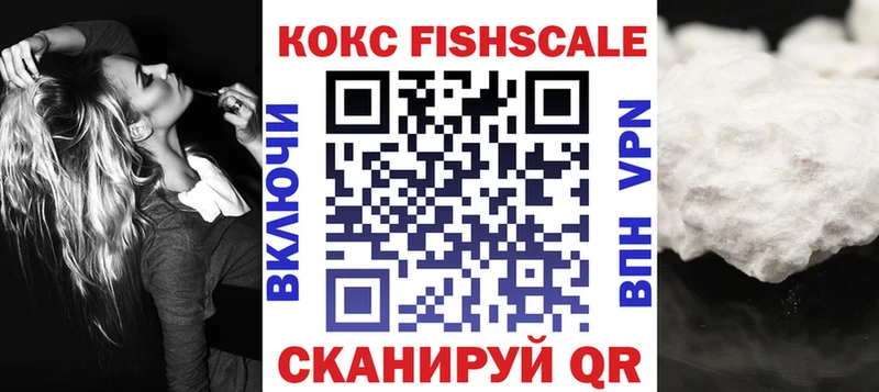 Кокаин Fish Scale  купить наркотики сайты  Ефремов 