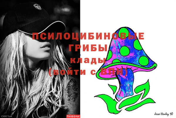 прущая мука Верея