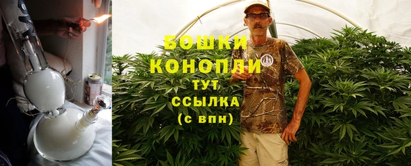 СК Богородск