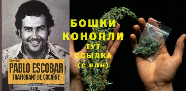 эйфоретик Бородино