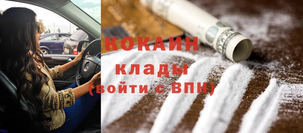эйфоретик Бородино