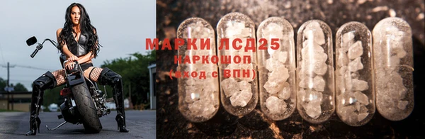 прущая мука Верея