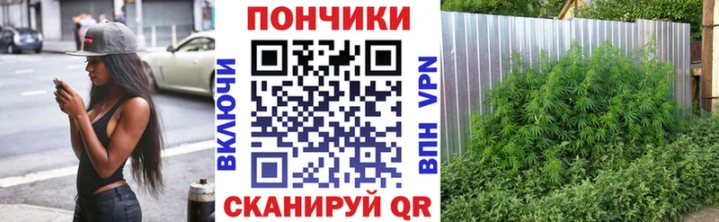 Канабис планчик  продажа наркотиков  Ефремов 